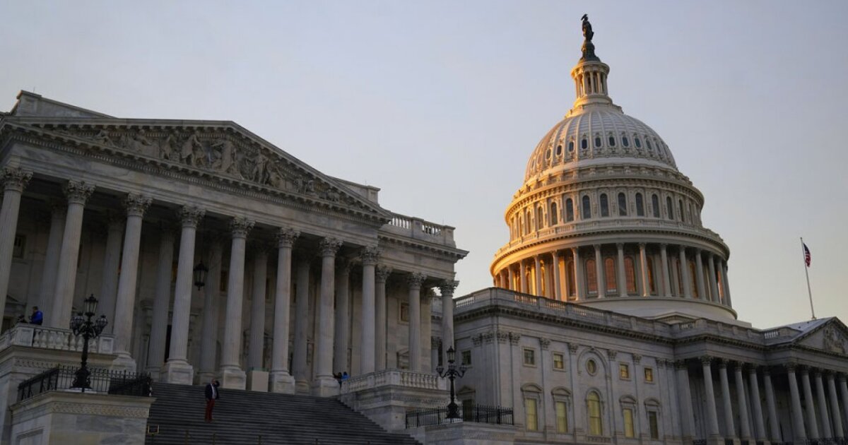 What do senators think of a potential 'DOGE dividend?'